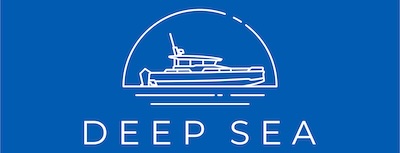 logo light