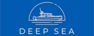 logo blue color